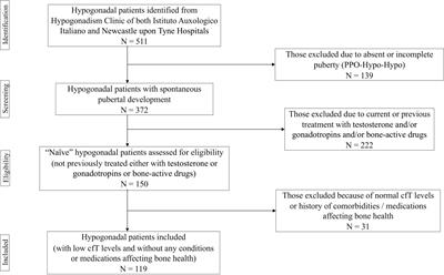 FSH and bone: Comparison between males with central versus primary hypogonadism